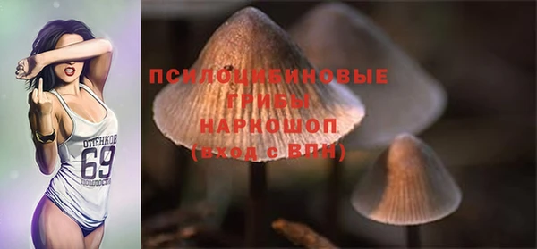 jwh Богородск