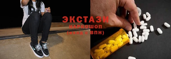 ECSTASY Богородицк