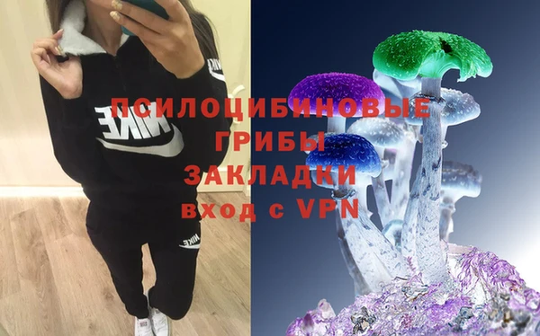ECSTASY Богородицк