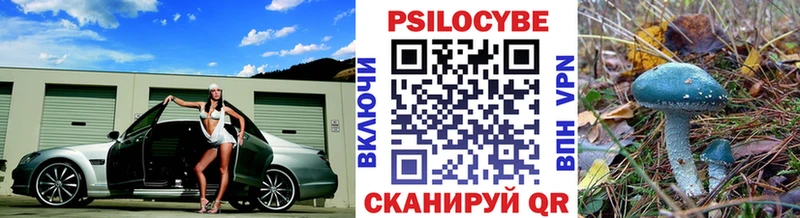 Галлюциногенные грибы Psilocybe  блэк спрут ONION  Кораблино 